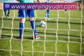 2026世界杯中国企业新策略联想海信泡泡玛特强势入场
