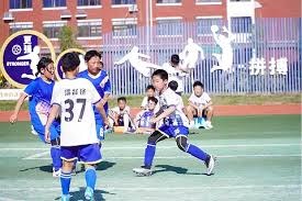 A股市场两大活跃板块分析